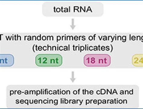 Almost All Steps Of Ngs Library Preparation Protocols Introduce Bias Especially In The Case Of