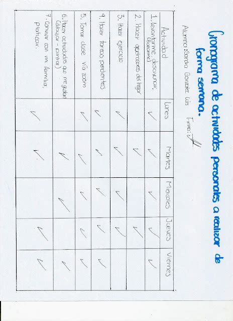 Actividades De Tutorias Cronograma De Actividades Personales A