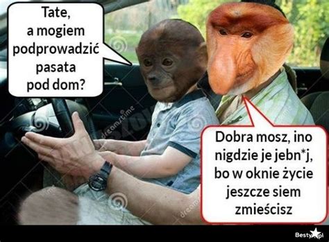 BESTY pl Kiedy Pioter chce poprowadzić Passata Memes Weekend humor