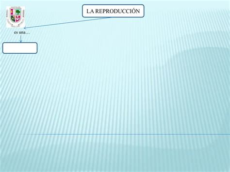 La Reproducción Mapa Conceptual Español Ppt