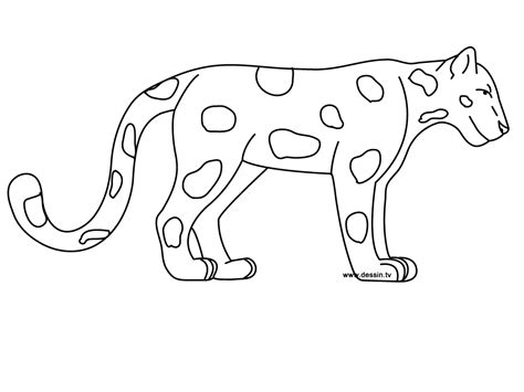 Coloriages Jaguar Animaux Dessins Colorier Coloriages