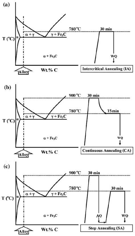 Various Heat Treatment Cycles Of Dual Phase Steel A Intercritical Download Scientific