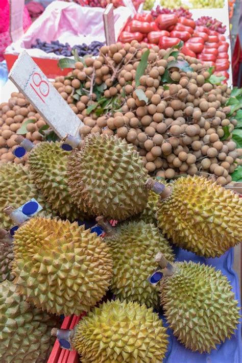 Durian at Market stock image. Image of kong, tropical - 121401517