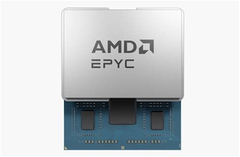 Amd Releases Epyc Siena Cpus Zen C For Edge Optimized Server Chips