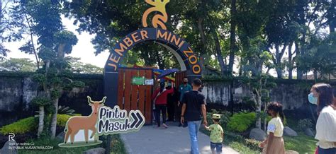 Jember Mini Zoo Buka Dengan Aturan Prokes Masa Pandemi Wisata Edukasi