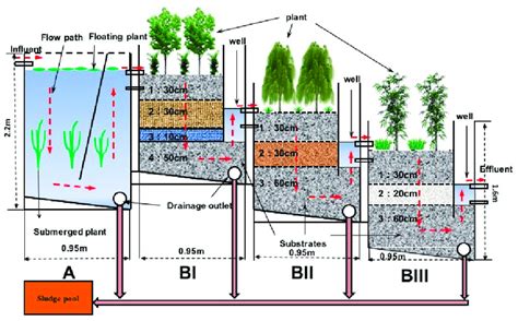 Constructed wetland system designed for treatment of rural household... | Download Scientific ...