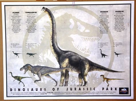 Jurassic Park Dinosaur Size Chart