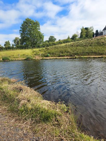 Moira Lakes Fishing Lake Craigavon Zaubee