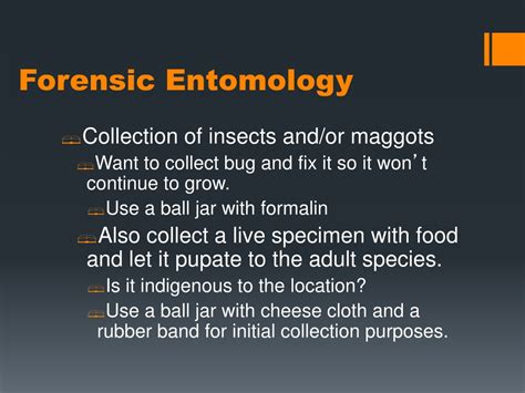 Ppt Forensic Entomology Powerpoint Presentation Free Download Id 9457795