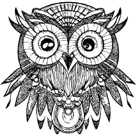 Owl Coloring Page · Creative Fabrica