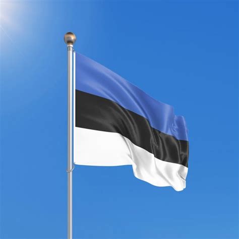 Buy Flag Of Estonia Republic Online Shop Price Citysouvenirs Lt