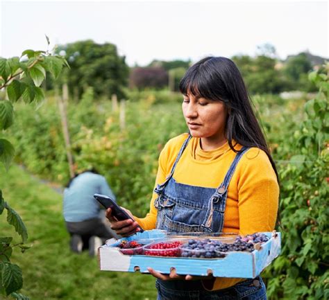 La Falta De Conectividad Rural Mina Potencial Económico Y Productivo Mexicampo