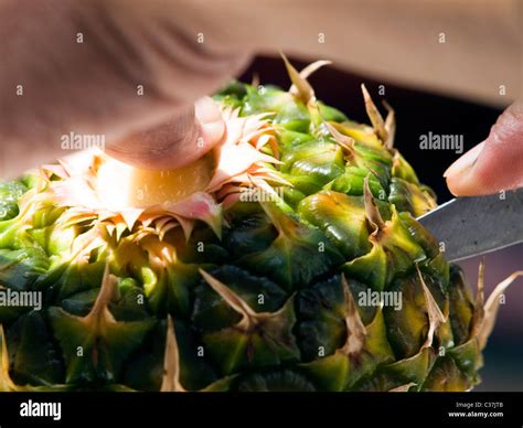 carving  pineapple stock photo alamy