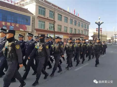 【践行新使命 忠诚保大庆】曲麻莱县公安局组织民警参加“不忘初心，牢记使命”主题教育活动澎湃号·政务澎湃新闻 The Paper