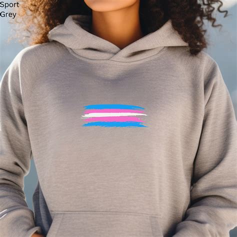 Subtle Trans Pride Hoodie Transgender Flag Sweatshirt That Is Popular