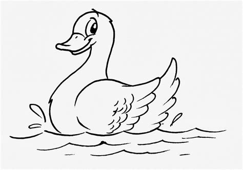 Desenho De Pato Nadando Para Colorir Cia De Educadores