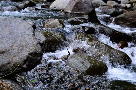 Beautiful River Clear Water Flowing through Stones and Rocks Stock Photo - Image of fine ...