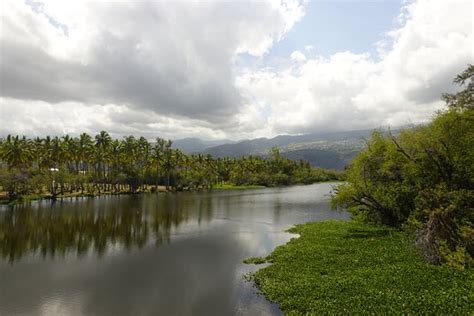 Reserve Naturelle Nationale L Etang De Saint Paul Ce Qu Il Faut