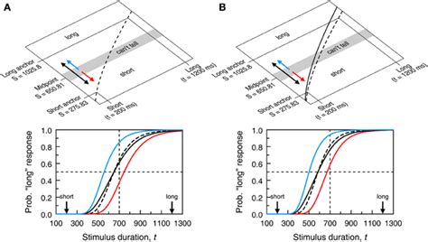 Model Based Psychometric Functions For The Temporal Bisection Task