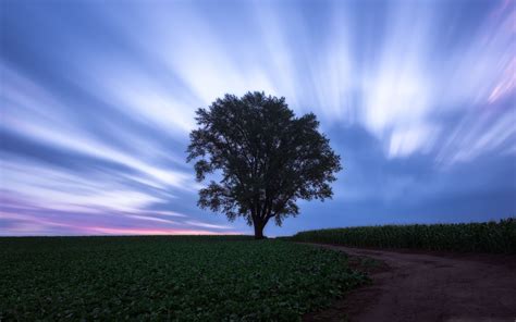 moving  mac wallpaper  allmacwallpaper