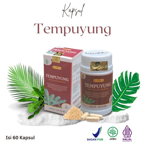 Jual Kapsul Herbal Tempuyung Obat Batu Ginjal Paling Ampuh Kapsul