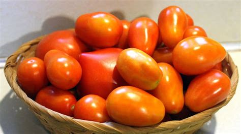 Cooking With Mary And Friends Tomato Bruschetta In A Jar