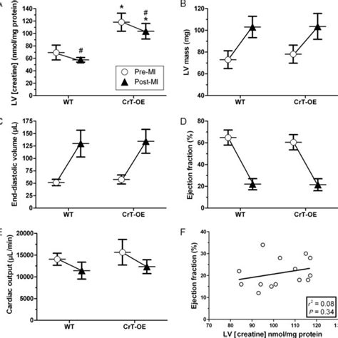 Creatine Levels And Creatine Kinase Activity In Cells Cultured With And