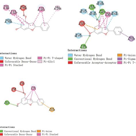 Schematic Presentations Of The Compound Binding Modes With Ache