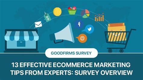 13 Effective Ecommerce Marketing Tips From Experts Survey Overview