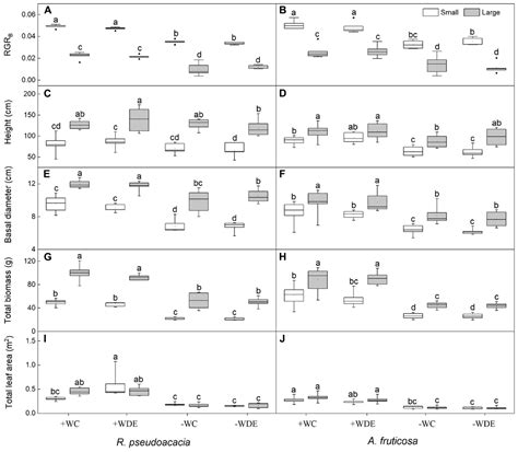 Frontiers | Plant Size Plays an Important Role in Plant Responses to ...