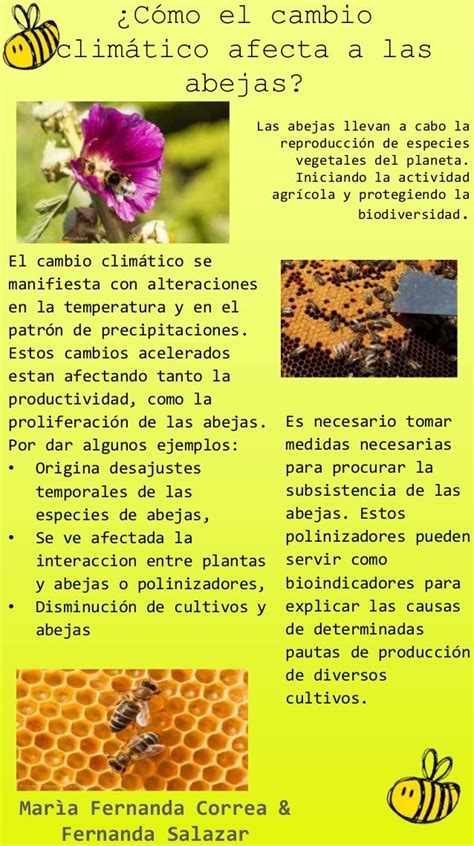 Poster Cambio Climático Y Las Abejas