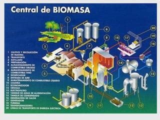 La Energia Biomasa Ppt