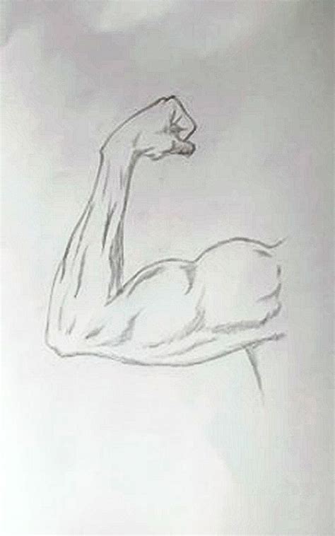 Human Bicep Easy Drawings Sketches Meaningful Drawings Art Drawings