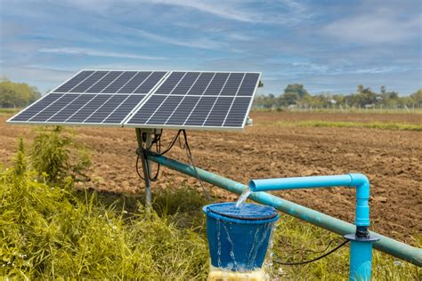 Agrivoltaics The Intersection Of Solar Energy And Agriculture