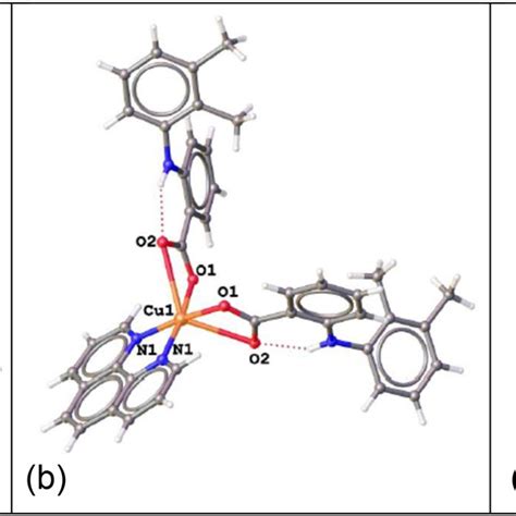 Molecular structures of the Cu(II) complexes. (a) Molecular structure ... 