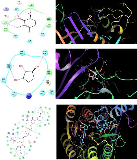 The 2d Interaction And 3d Docked Complex Of The Ligands With The