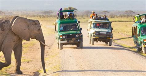 4 tägige Maasai Mara Lake Nakuru Camping Safari im 4x4 Jeep