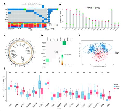 Genome And Transcriptome Characteristics Of Nrgs A Mutation Download Scientific Diagram