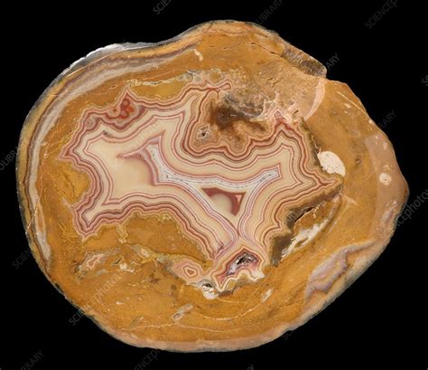 Fairburn Agate Stock Image C0085372 Science Photo Library