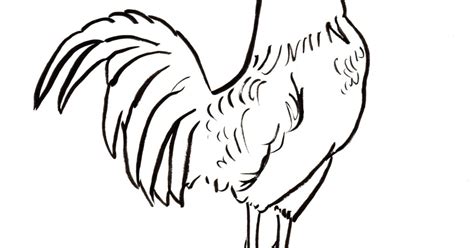 A Rooster Coloring Page Coloring Rooster Pages Printable Colouring