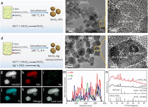 Schematic Illustrations Of The Preparation Of Mno Nanoparticles A