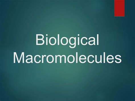 Biological Macromolecules 2015 1ppt