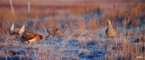 National Wildlife Refuges in North Dakota