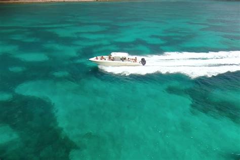 Tripadvisor Halbt Gige Bootstour Zum Creole Rock Great Snorkeling