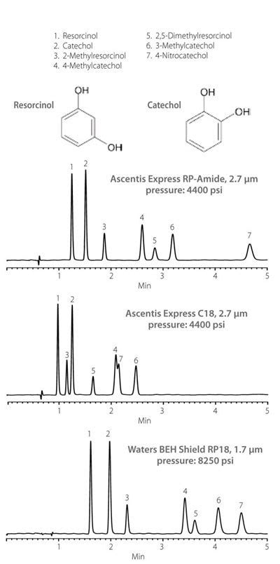 Ascentis Express RP Amide HPLC Columns