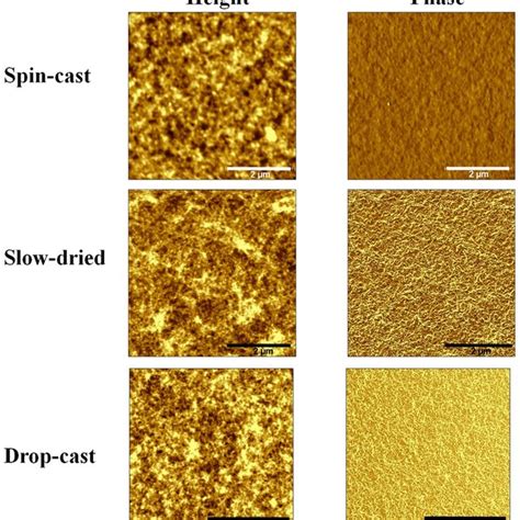 AFM Height And Phase Images Of Pure PBTTT Spin Cast Slow Dried And