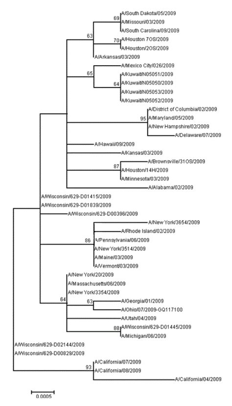 A Phylogenetic Tree Of Ah1n1 Pdm09 Nucleotide Sequences Doi Download Scientific Diagram