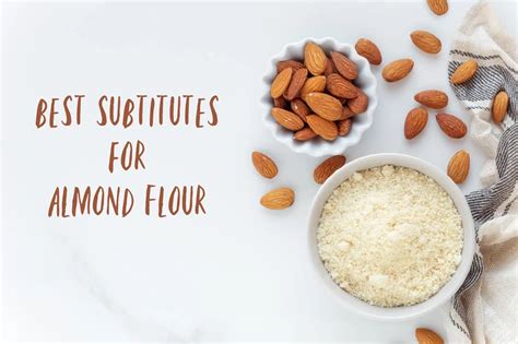 The 6 Best Almond Flour Substitutes For Any Occasion The Coconut Mama