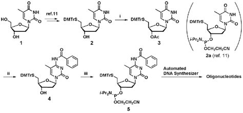 Scheme Reagents And Conditions I Ac O Pyridine Rt Ii A