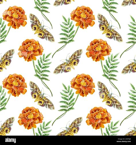 Marigolds And Moths Seamless Pattern Hand Drawn Watercolor